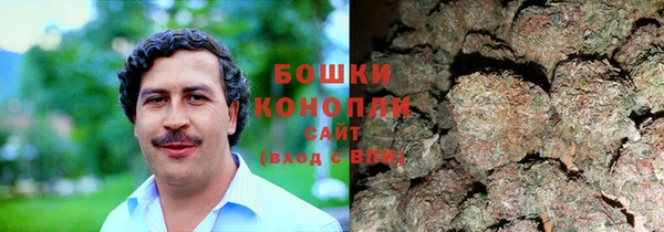 дживик Вяземский