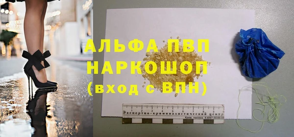 СК Горно-Алтайск