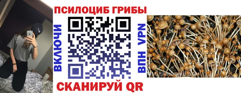 Псилоцибиновые грибы MAGIC MUSHROOMS Новочебоксарск