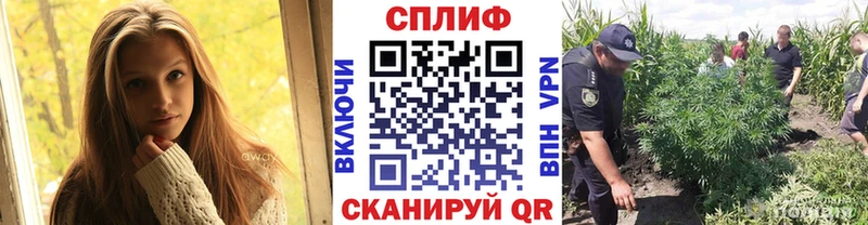 Шишки марихуана план  кракен как войти  Новочебоксарск 